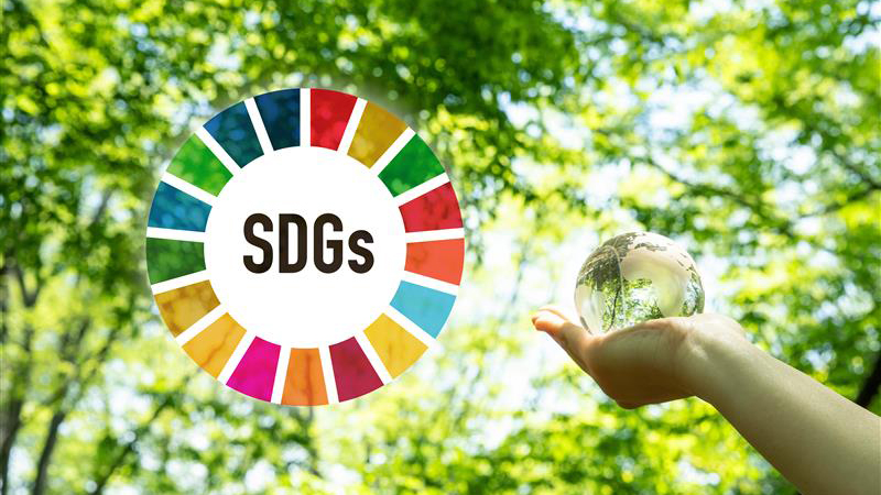 SDGs 